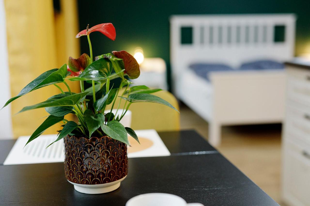 Apartment Na Zielonym Widoku *